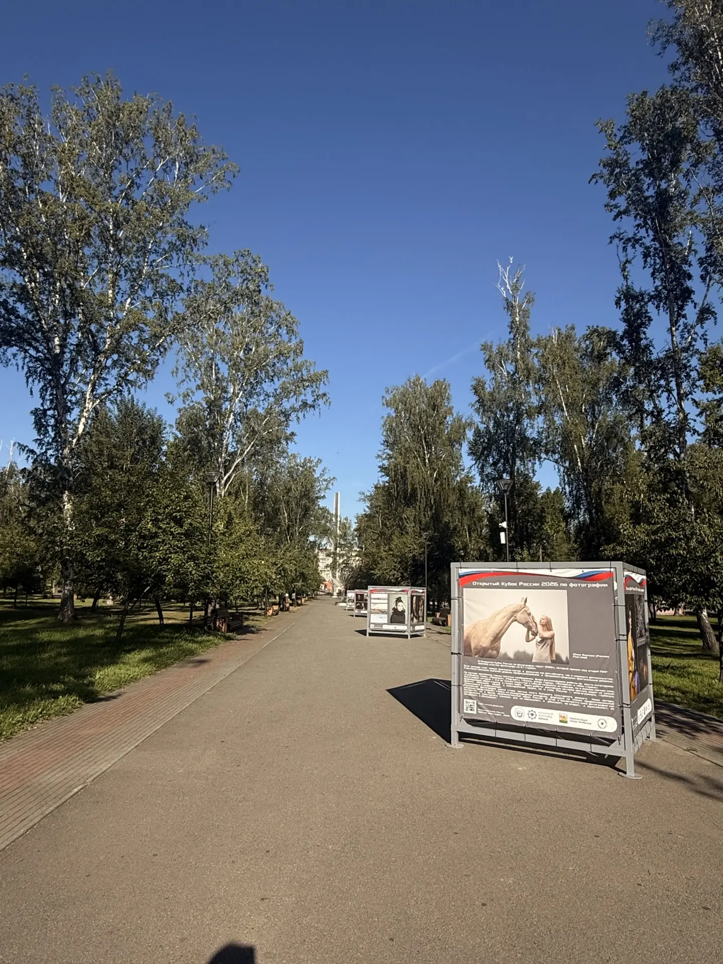 Добрый день, друзья 👋