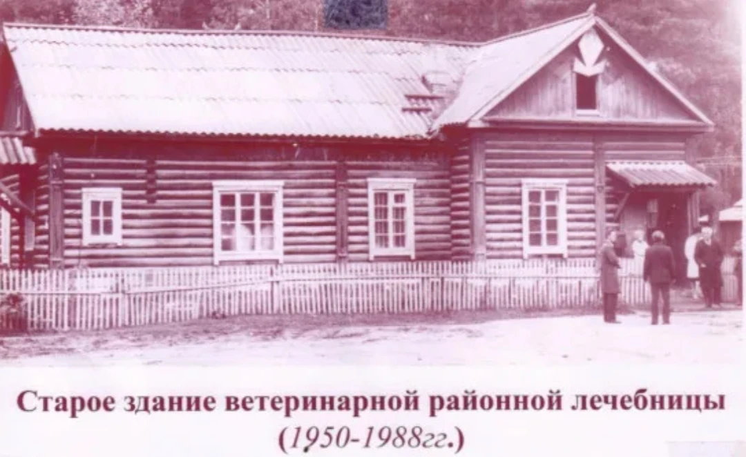От храмов древности до клиник мегаполиса: история ветеринарии

Забота о здоровье животных — одна из 