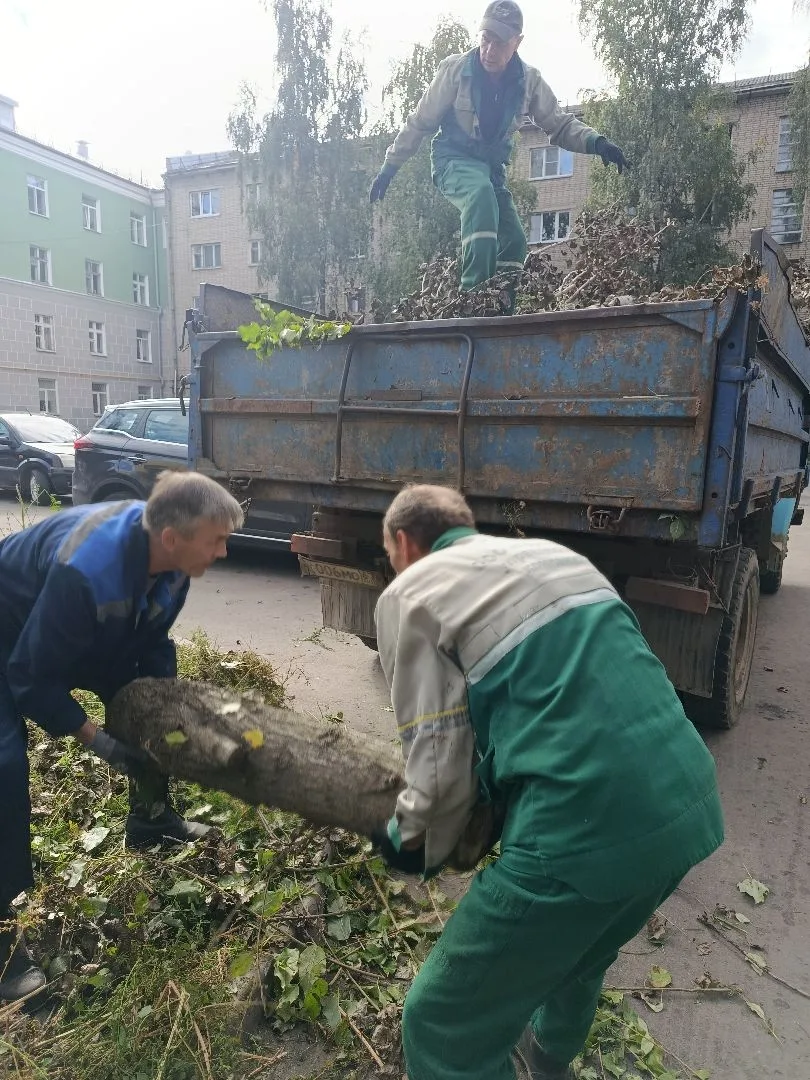 🍂 Работаем во дворах: уборка веток и порубочных остатков