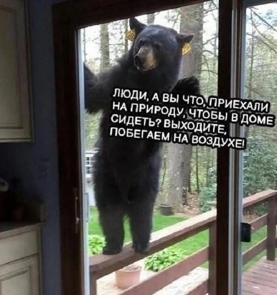 Понравилось? 
Поделитесь с друзьями!🤗