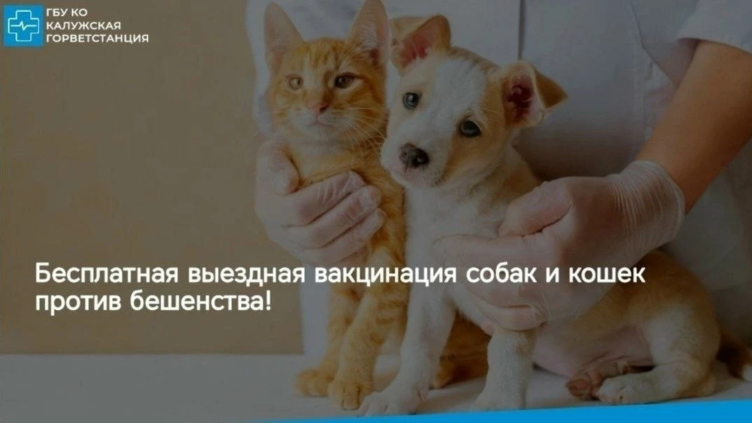 Уважаемые владельцы домашних животных, проживающие в д. Желыбино, д. Воровая и д. Шахты...