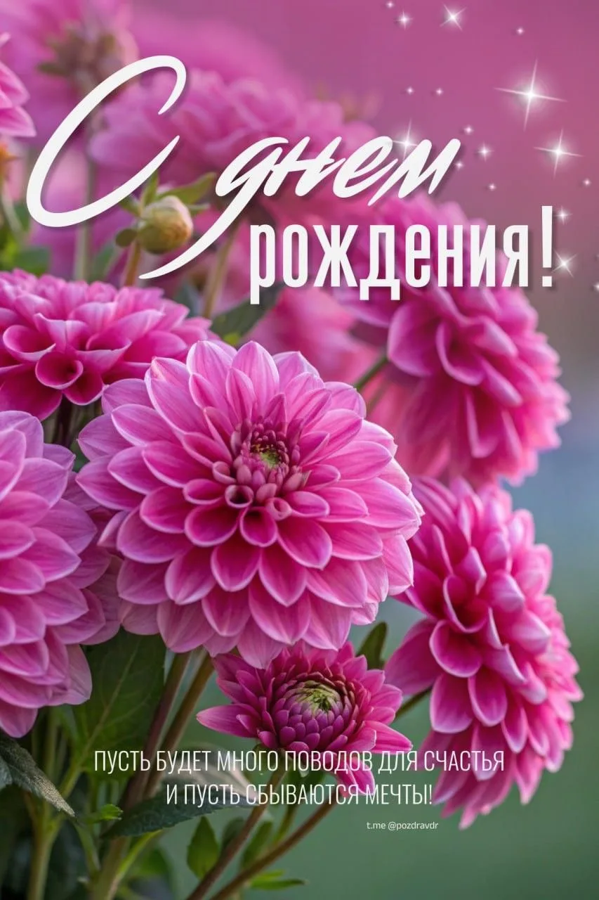✨ Открытки и Поздравления