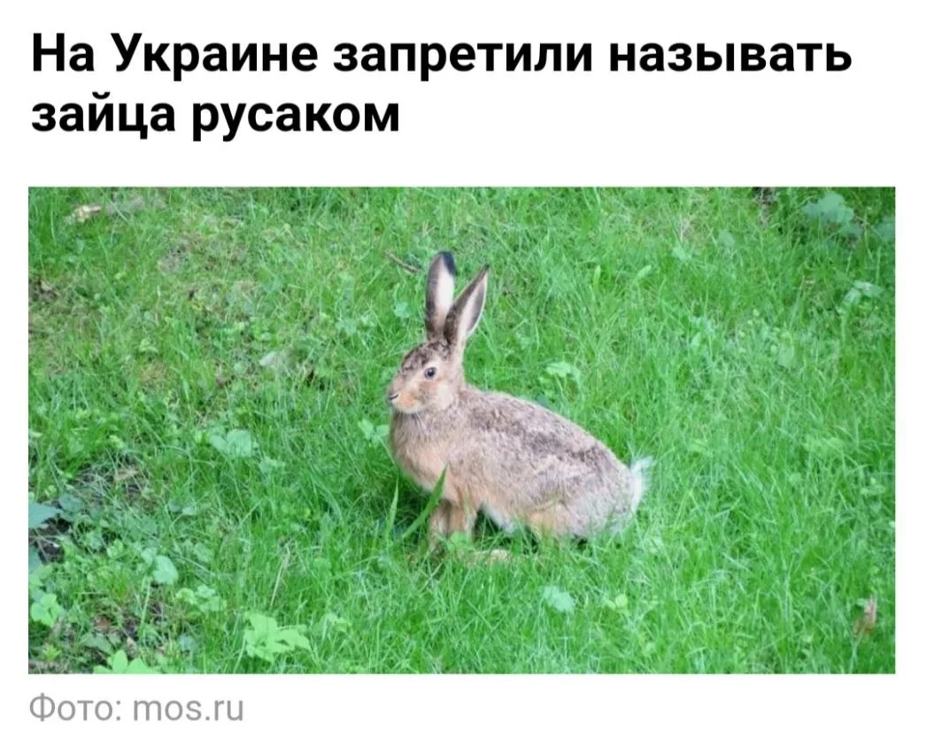Удар ниже пояса