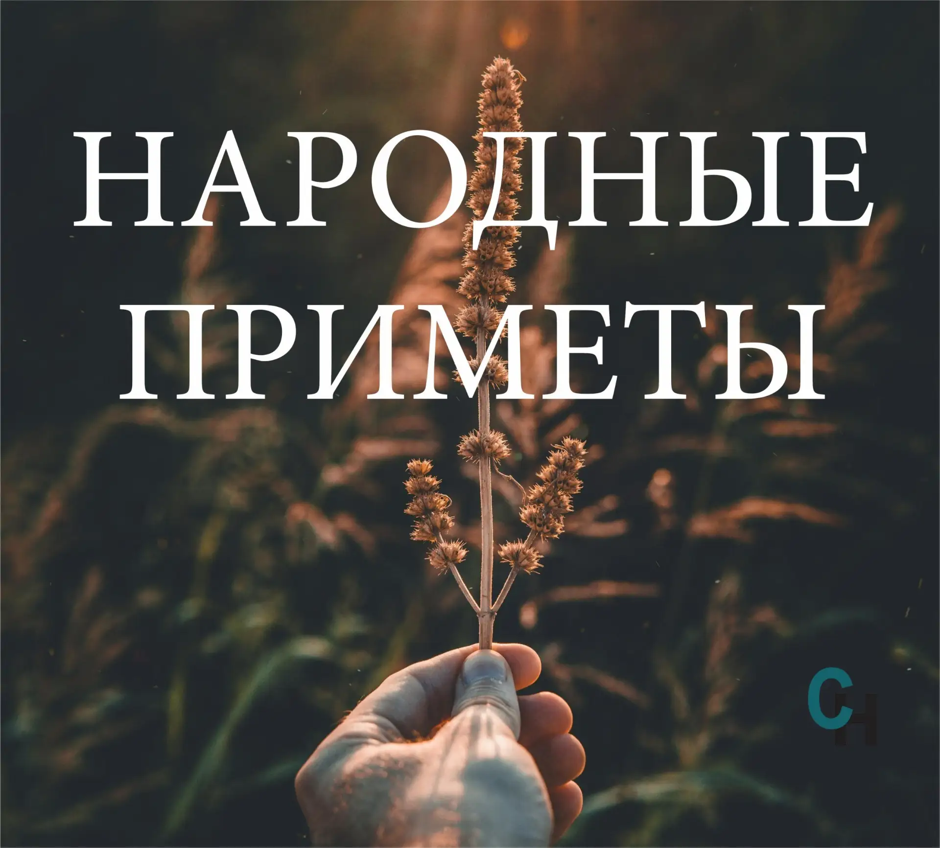 🍂 29 сентября: если сухо — примета обещает мягкую зиму