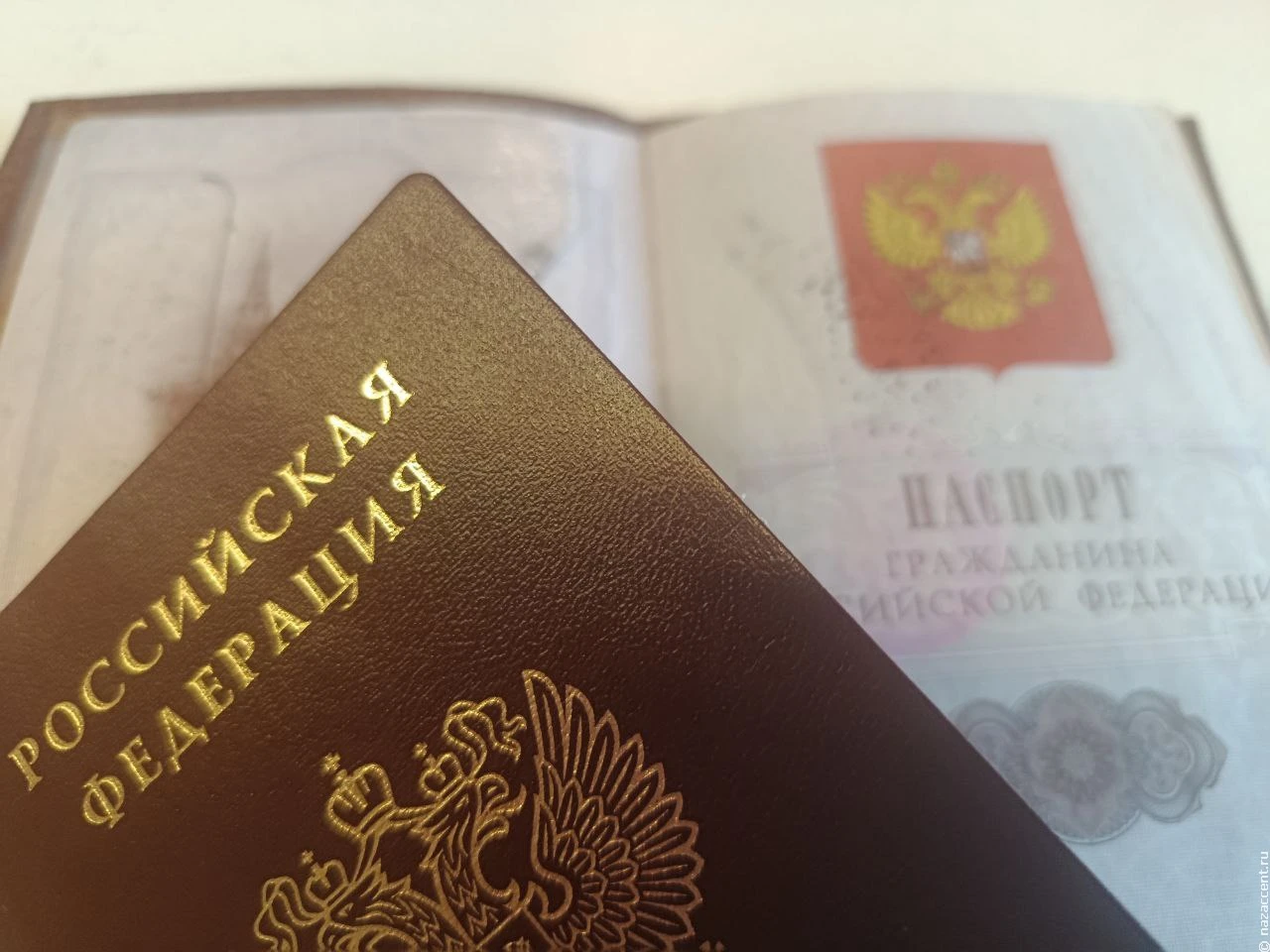 Отказывать в российском гражданстве стали чаще, заявила официальный представитель МВД Р...