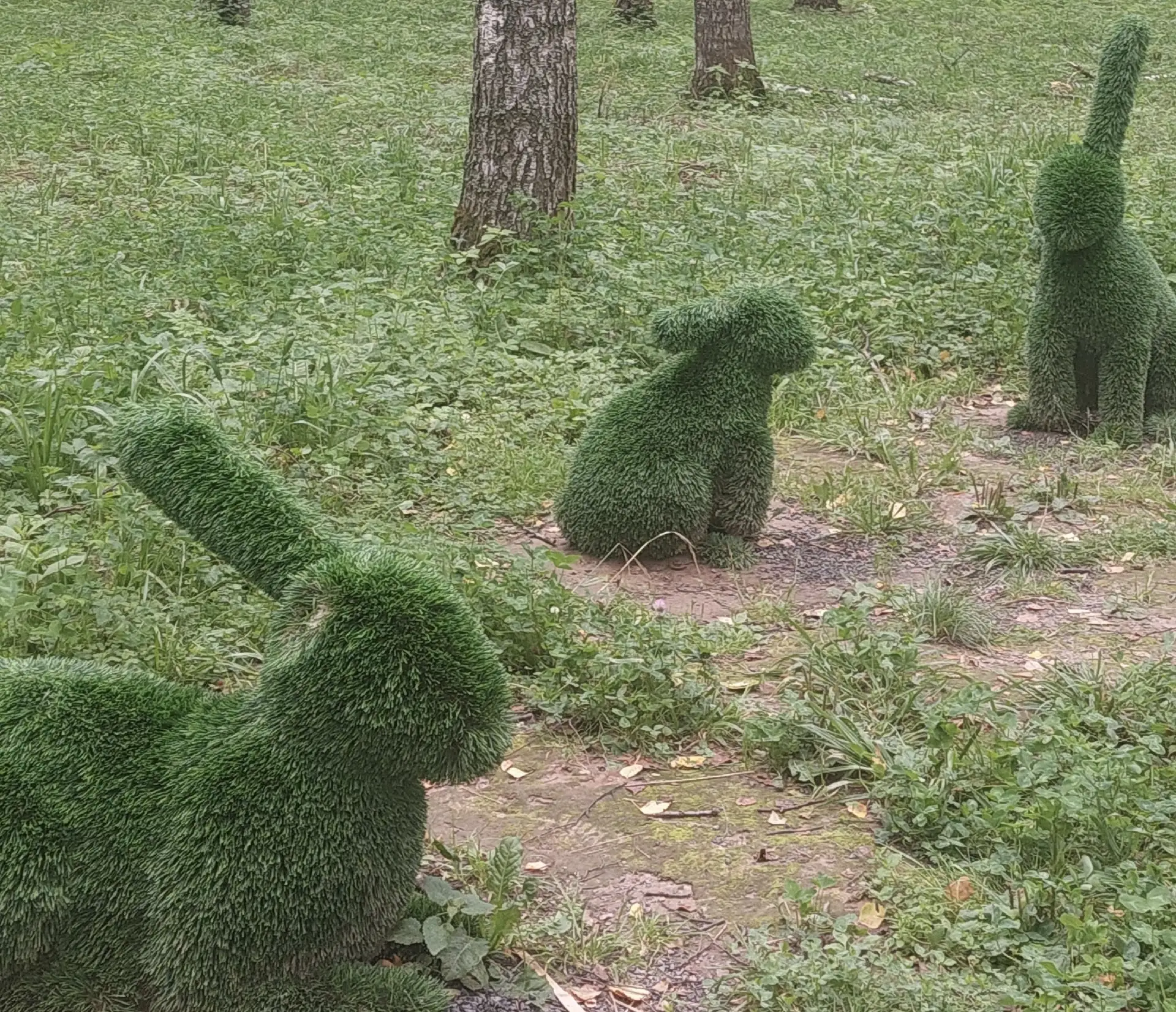 🐇🎠 Новые качели и обезображенные зайцы: в Красных Ткачах пострадала зона отдыха

🌳 В поселке Ярос