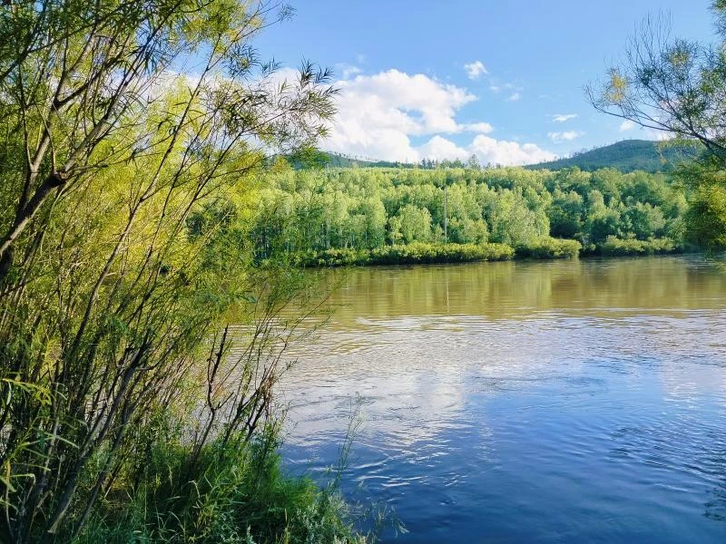 ❗️Два подростка утонули в реке возле этно-археопарка «Сухотино» в Чите❗️

🔻Два подростка утонули в 