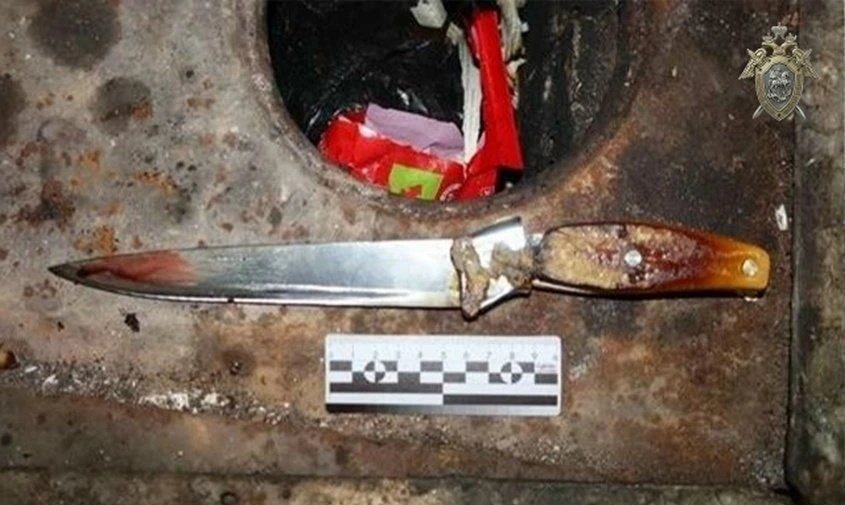 🔪 Спрятала нож в печку, но не подожгла: амурчанка убила односельчанина, напавшего на е...