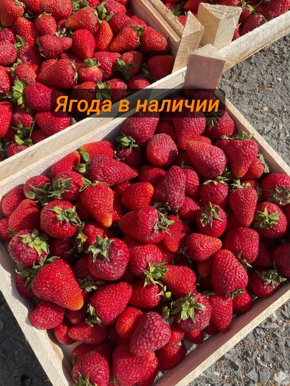 ✨ Получили свежую ягоду!

🔥 Малина сладкая ароматная, ящик 3,5л 1600р 
🍓 Клубника сортовая Альбион