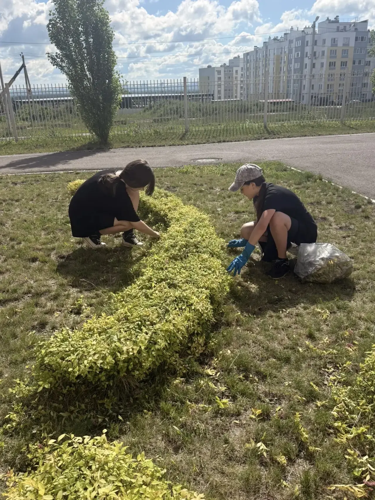 ✨В рамках программы трудового воспитания и летней практики обучающиеся #ШколаГармония  ...