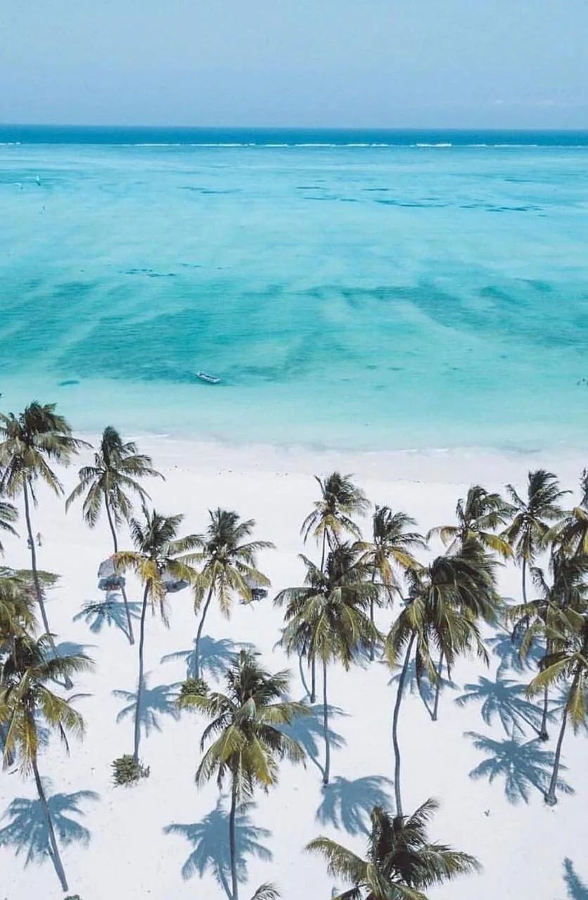 Занзибар захватил наши сердечки 🥹🌴