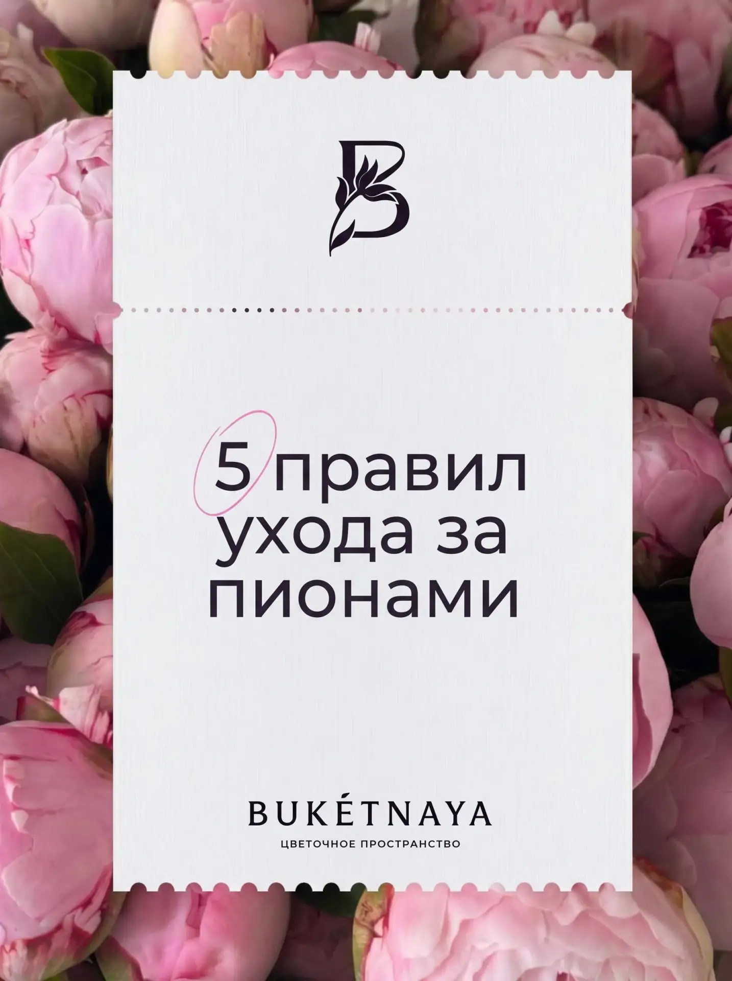 Для тех, кто обожает пионы💞