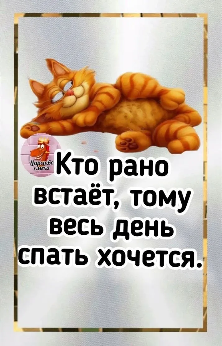 Дорогой, ты встанешь сегодня или мне принести кофе в постель?