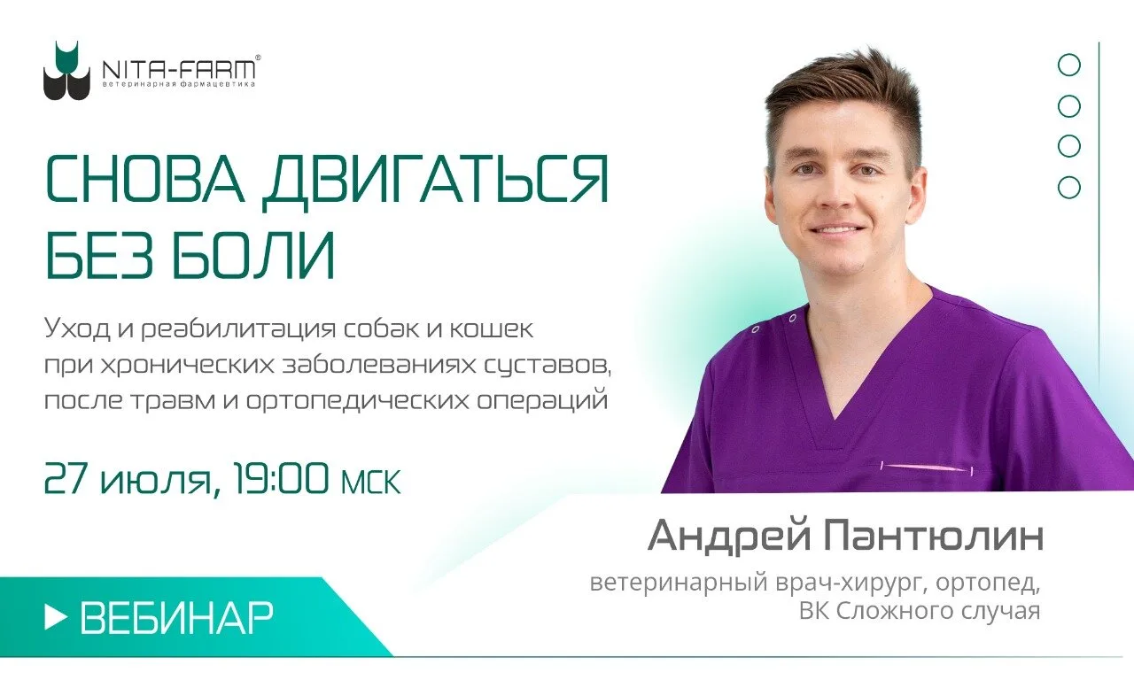 Вебинар для владельцев домашних животных