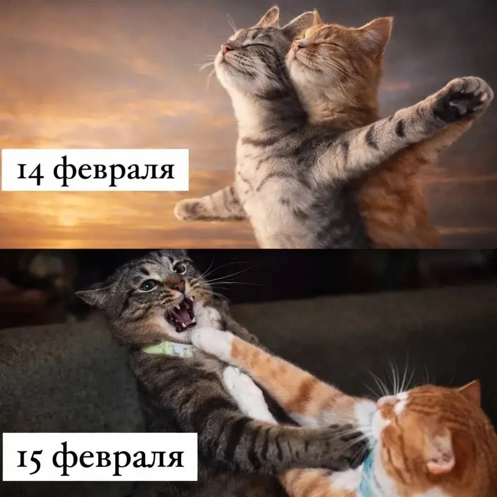 С праздником🤣🩶