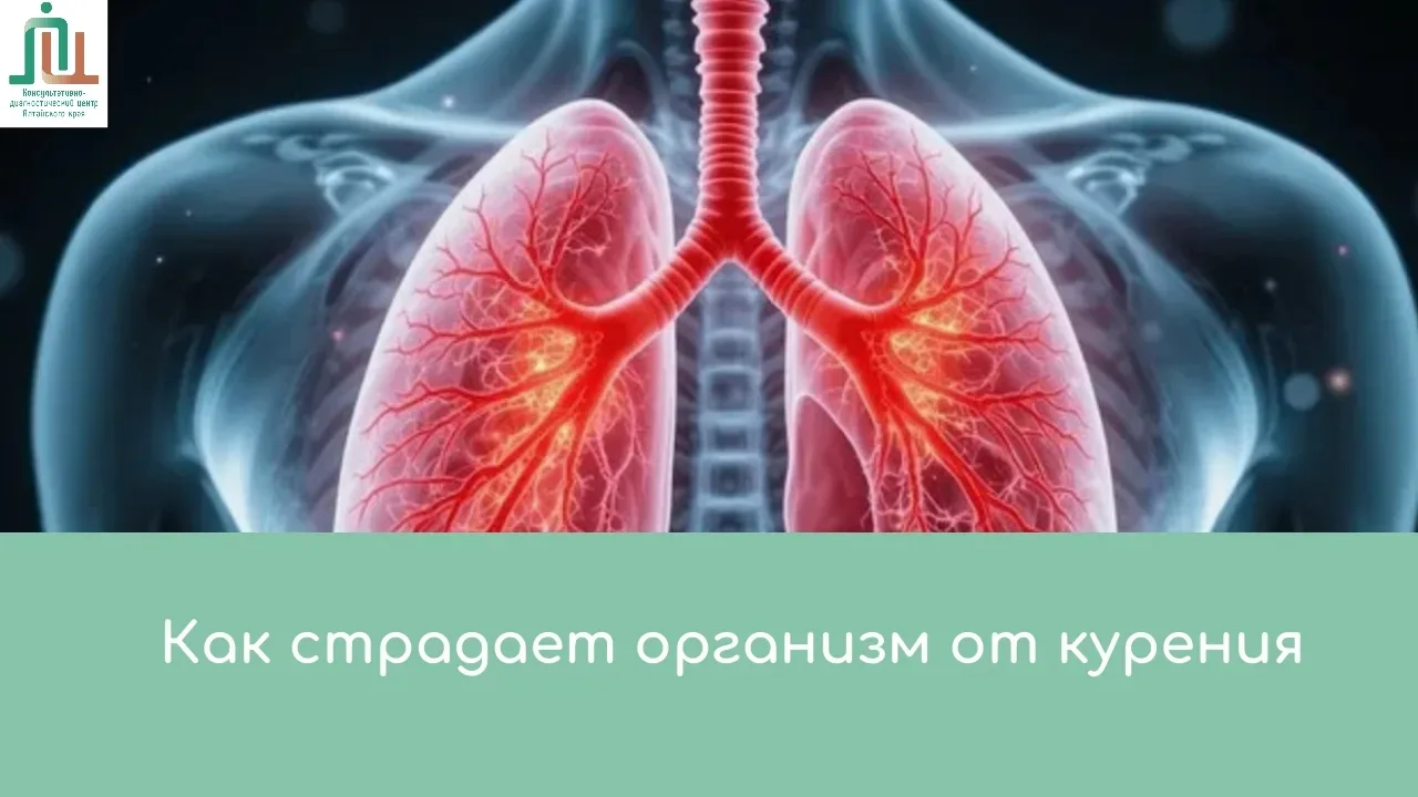 #ВредКурения