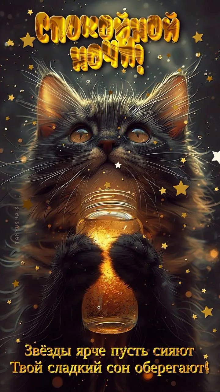 Поздравления на каждый день 🎁