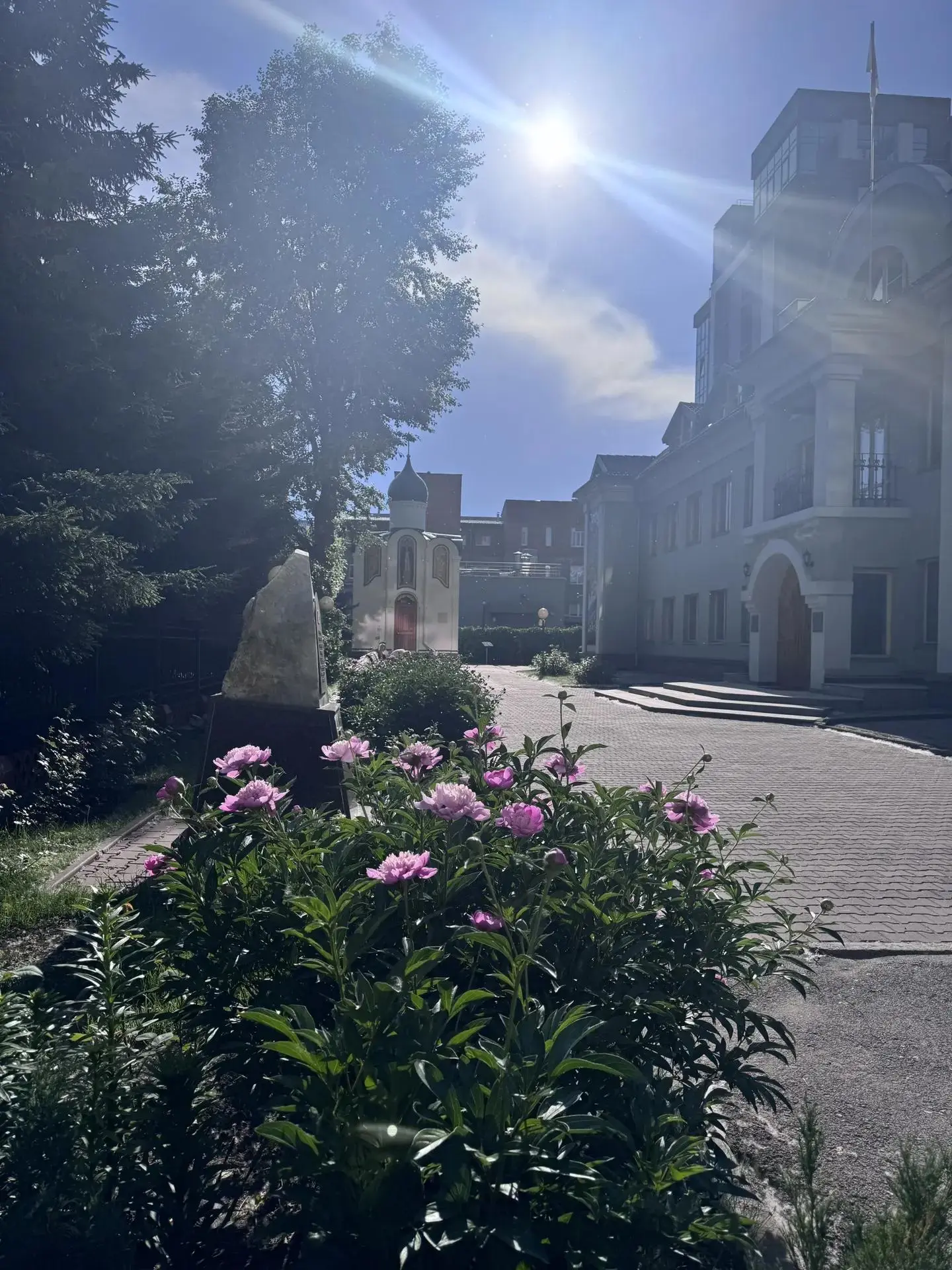 Цветы Музея 🌸🌺🌼