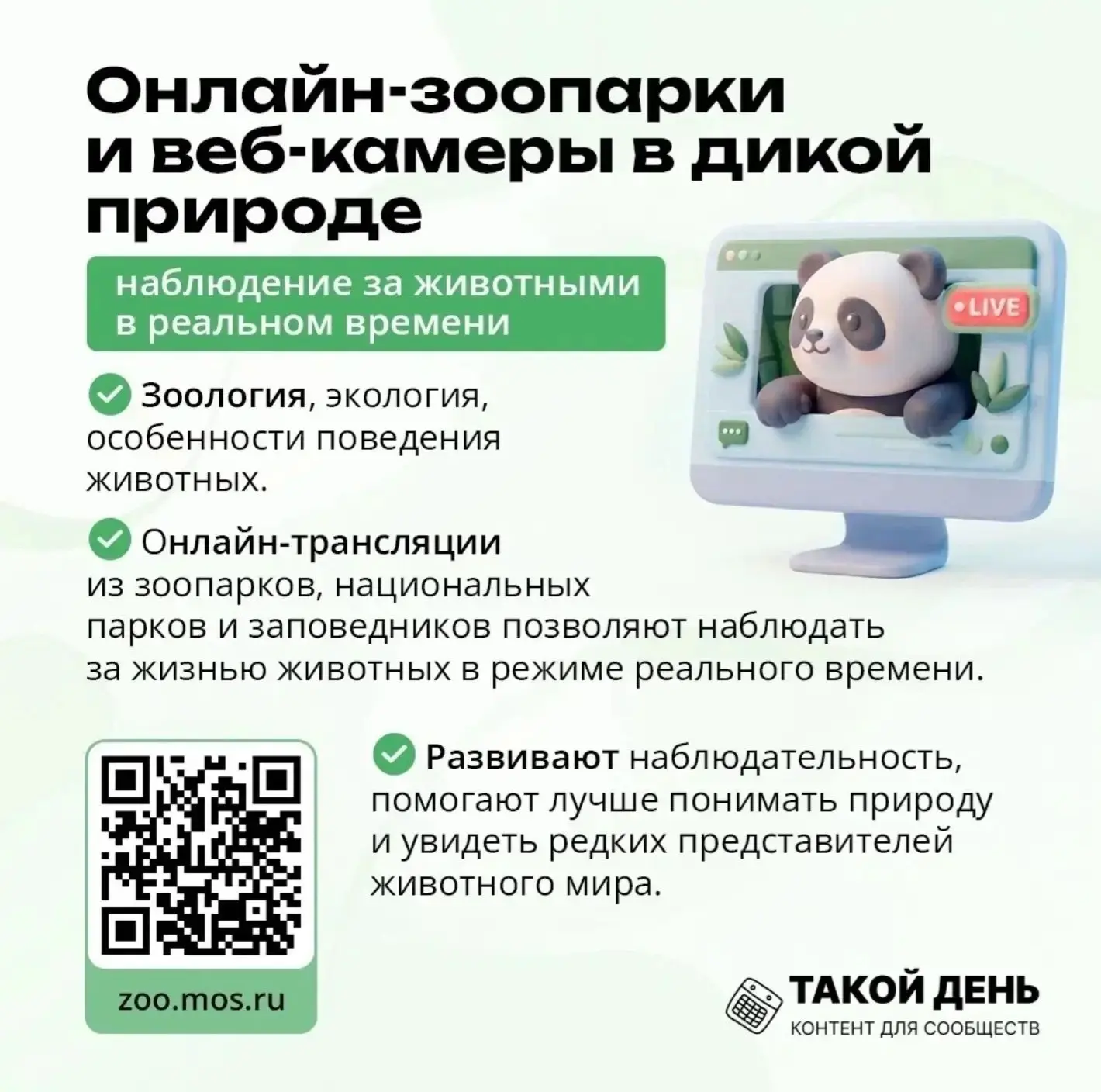 Мы часто носимся в делах, забывая, что мы — всего лишь крошечная, но очень важная часть огромного жи