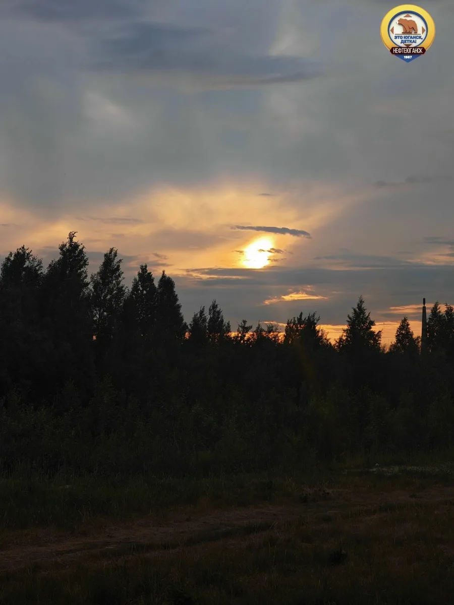Посидим в тишине💖🌲