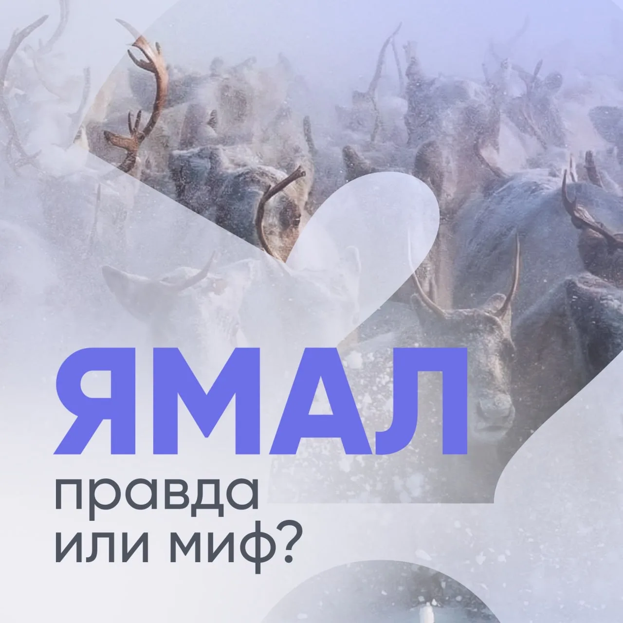 ✨ Ямал — край контрастов!   Многие представляют его как холодную пустошь, где бесконечная зима и сов