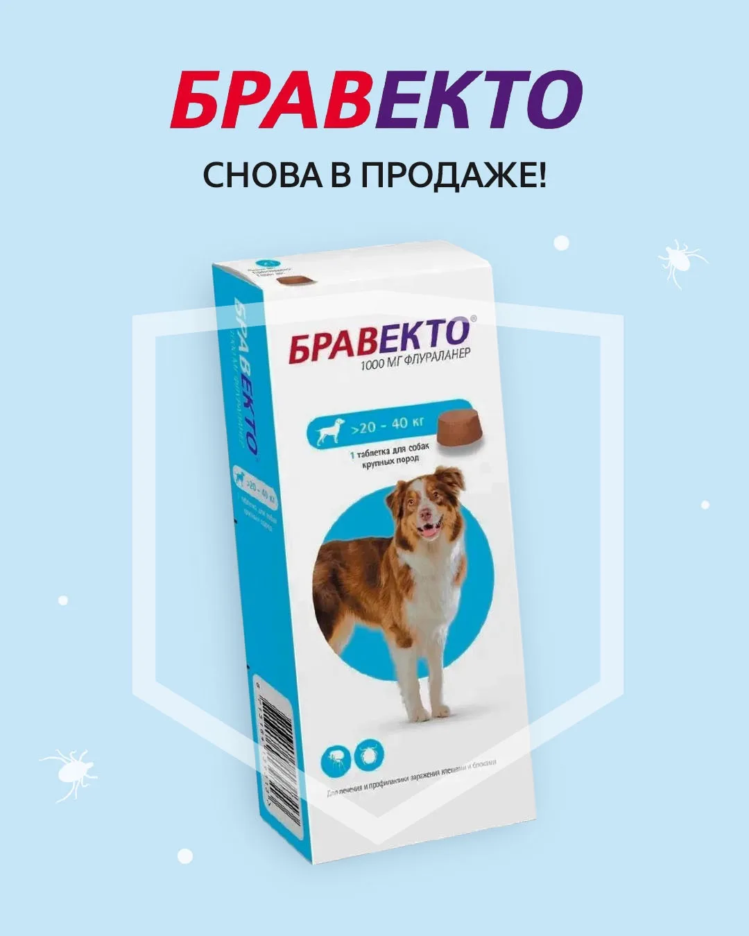 Капец вам, клещи и блохи, Бравекто снова в продаже в Четыре Лапы!

1 таблетка — защитное действие до