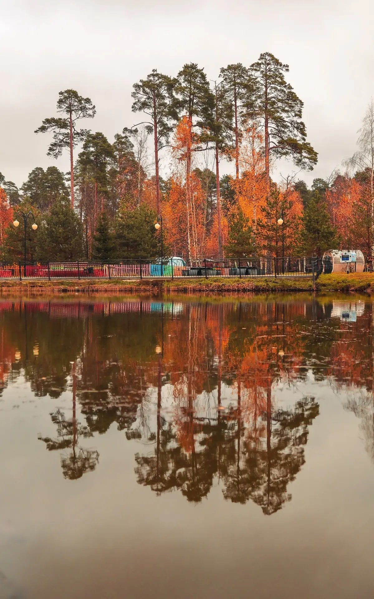 🍂 Эстетика приближающейся осени в парках - на фото рошальского моменталиста и видеогра...