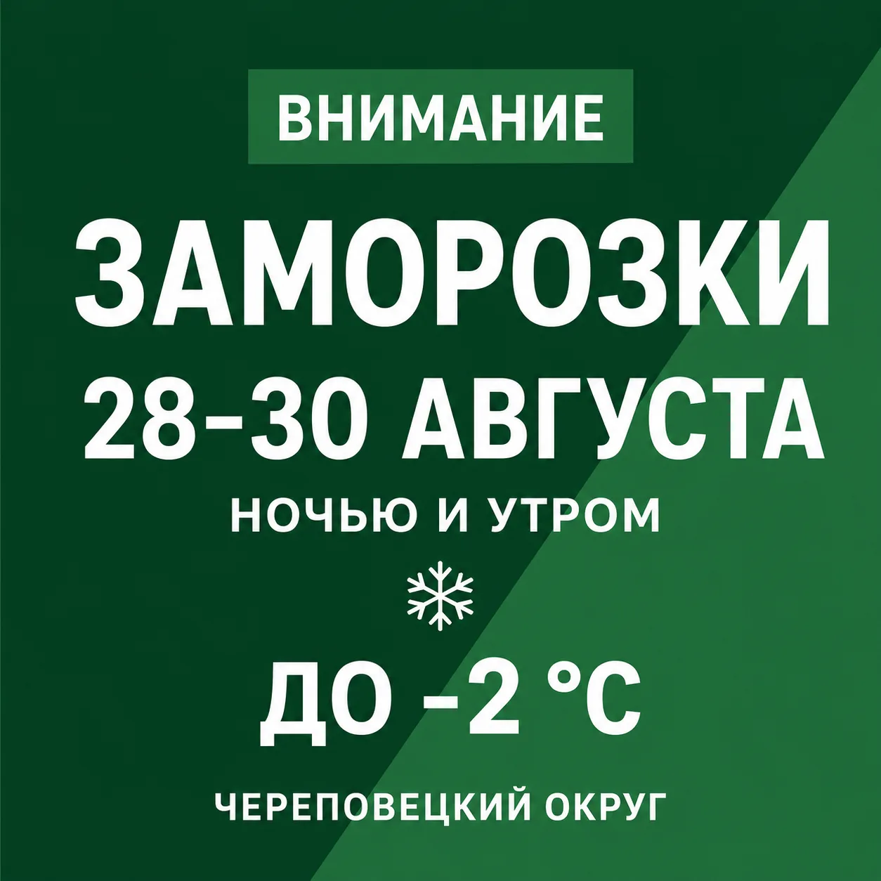 Ночью ожидаются заморозки