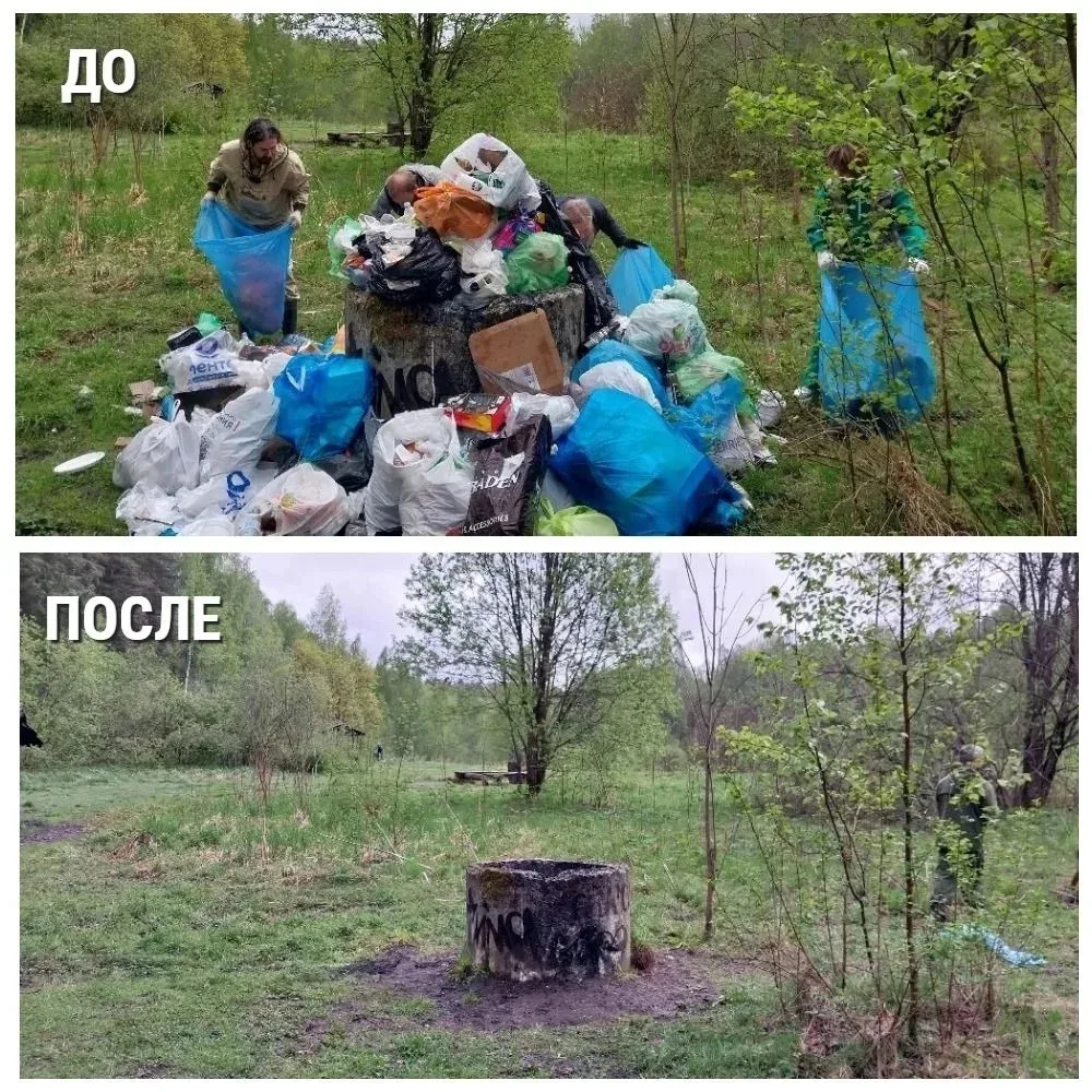 ❗️Продолжается борьба со свалками в лесах Ленобласти