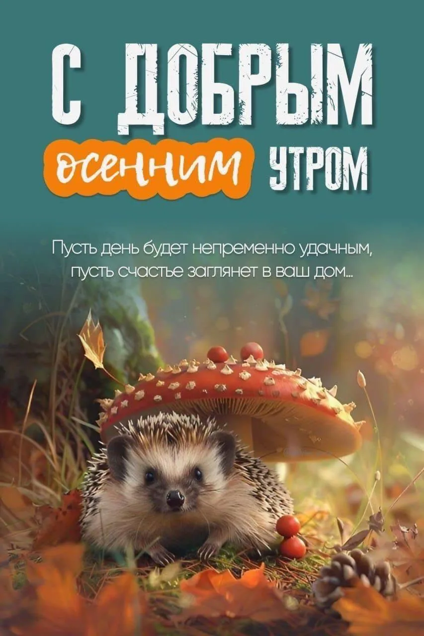 Доброе утро! 🌷