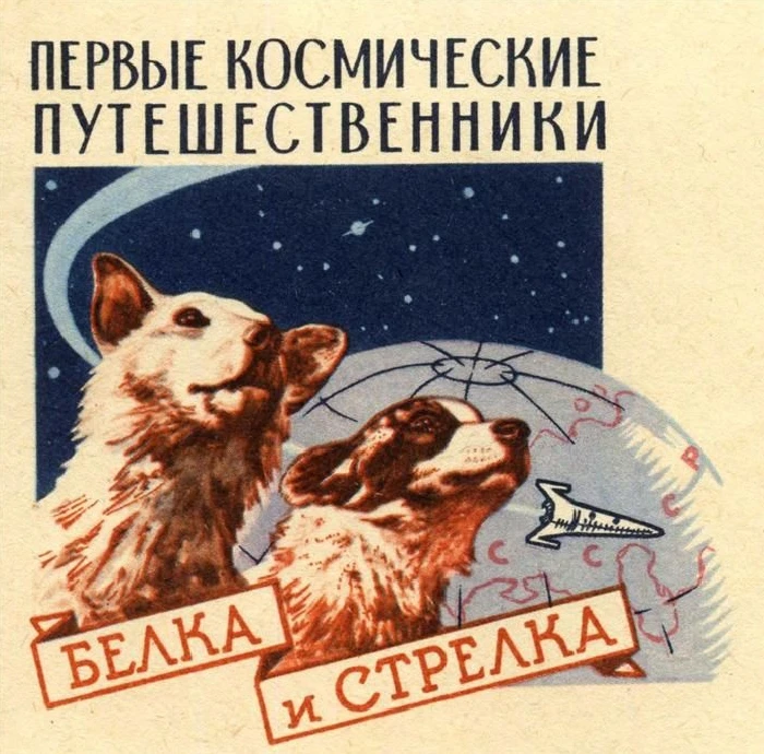 19 августа 1960 года с космодрома Байконур стартовала ракета, выведшая на орбиту корабл...
