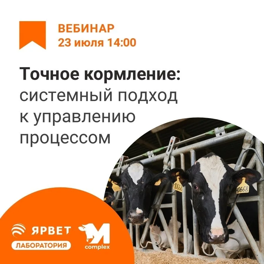 ⏰ Напоминание: вебинар завтра в 14:00 по МСК