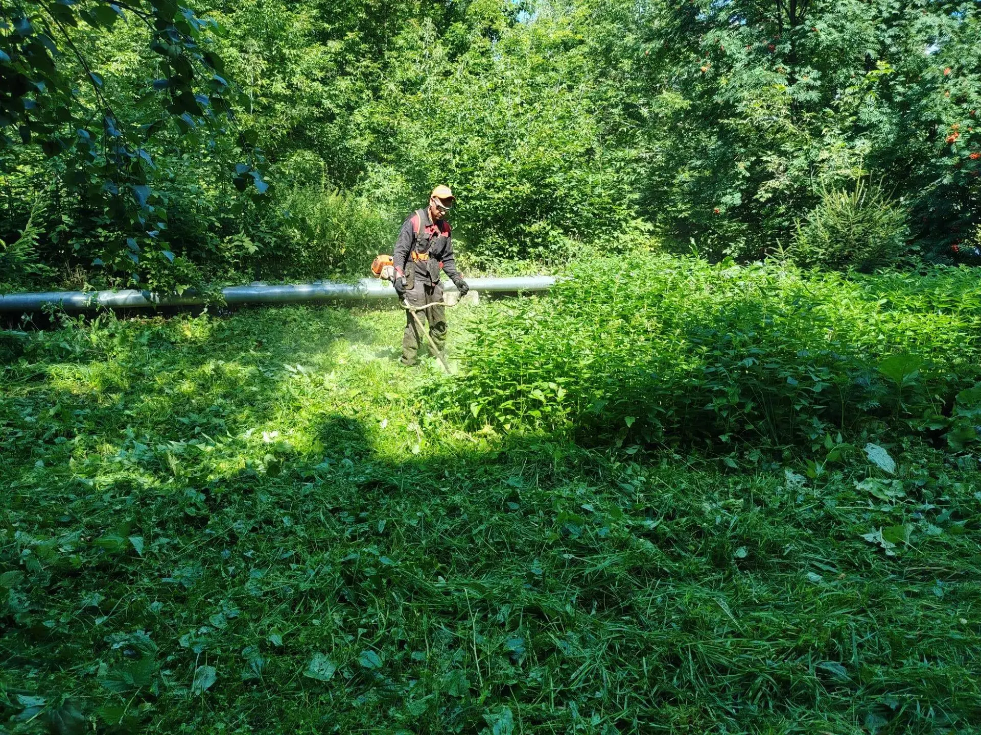 🌿 Заботимся о комфорте жителей каждый день!

Проводим регулярный покос травы на придомовых территор
