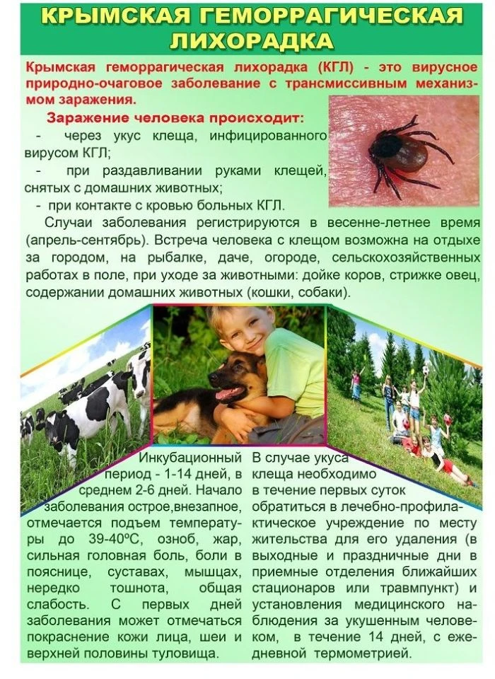 Во исполнение письма федерального бюджетного учреждения здравоохранения «Центр гигиены ...