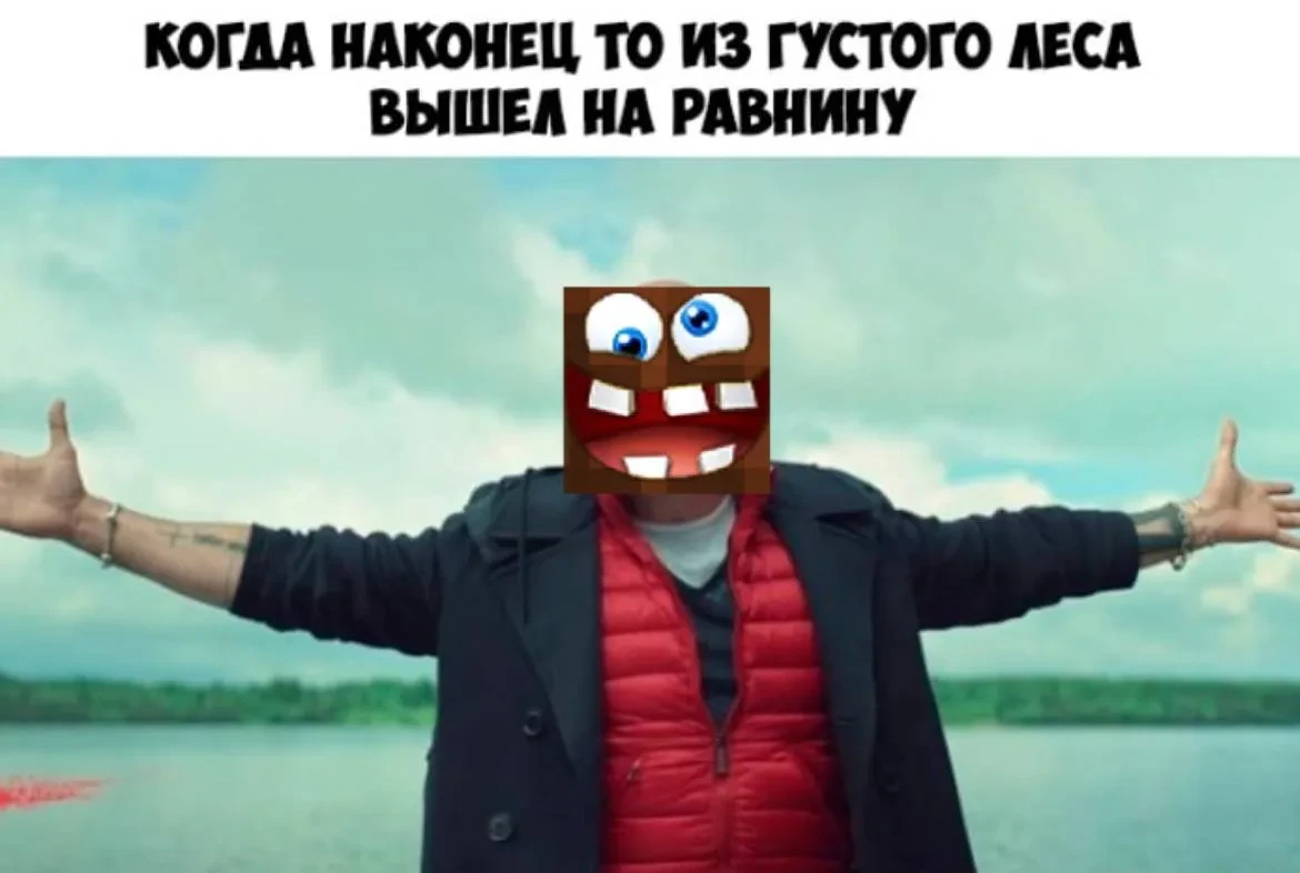🌲 Когда наконец-то выбрался из густого леса на равнину
