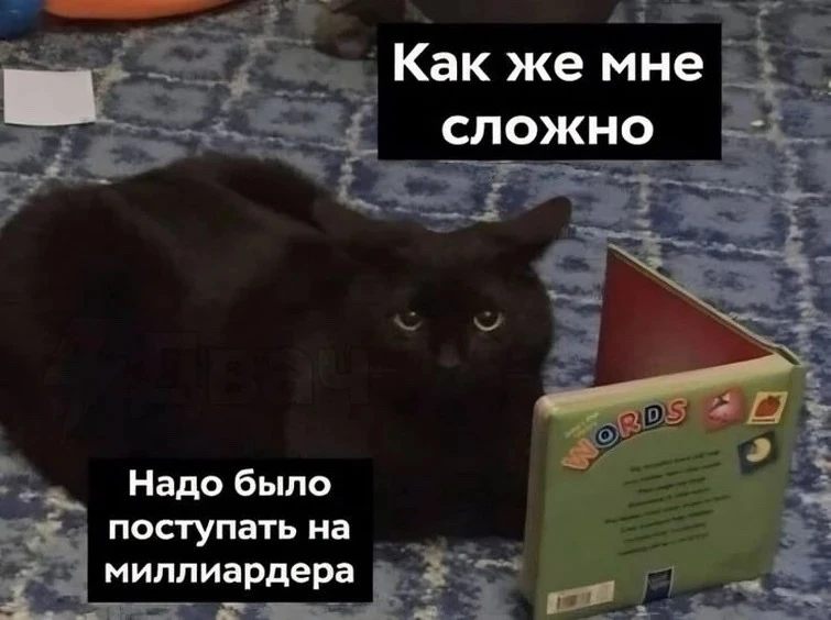 🎉 С Днём мема!