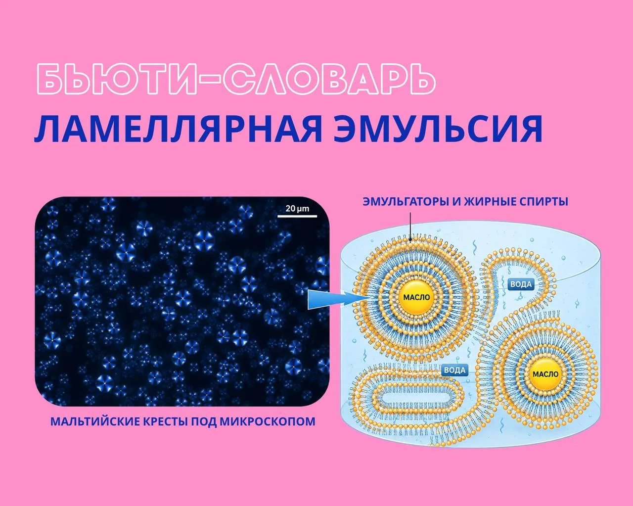 🧪Ламеллярные эмульсии - один из самых физиологичных типов кремовых текстур в современной косметике.