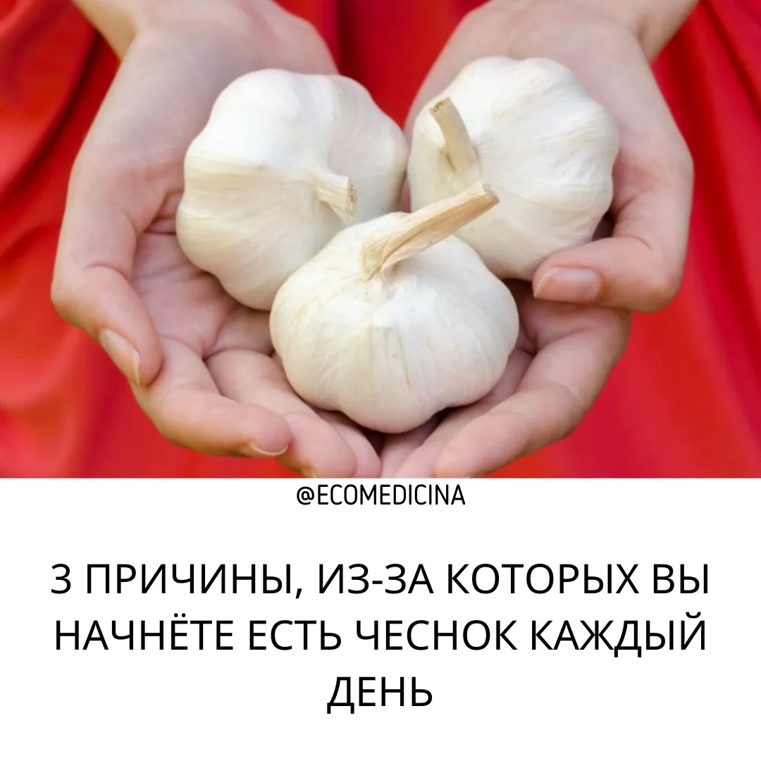 😱🌺3 ПРИЧИНЫ ЕСТЬ ЧЕСНОК КАЖДЫЙ ДЕНЬ