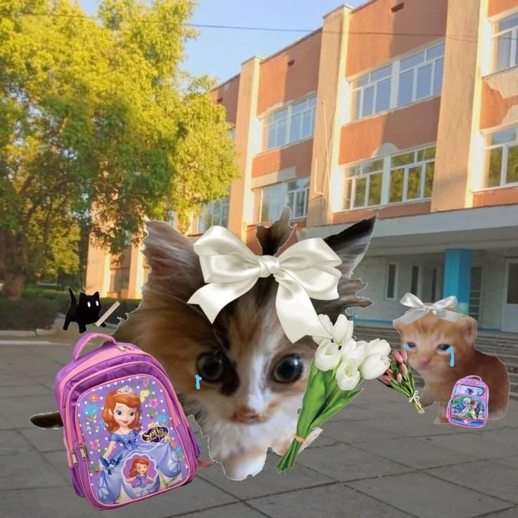 Сколько потратят родители на букет учителю 1 сентября?