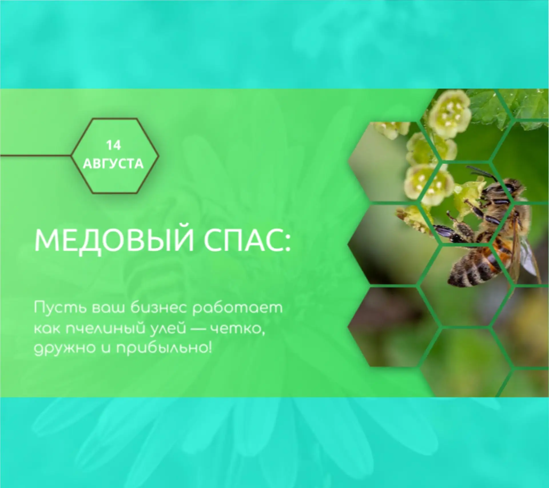 🍯🐝🌾 Середина августа в Алтайском крае — это особое время. Воздух наполняется аромато...