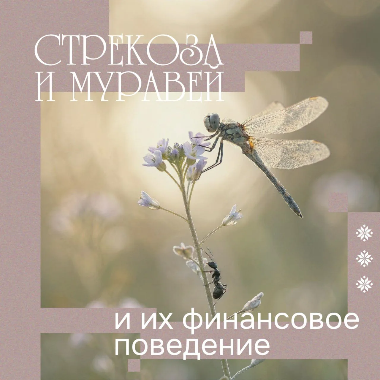 💳 Брать от жизни все или держать бюджет в муравьиных ежовых рукавицах?
В вашем окружении наверняка 