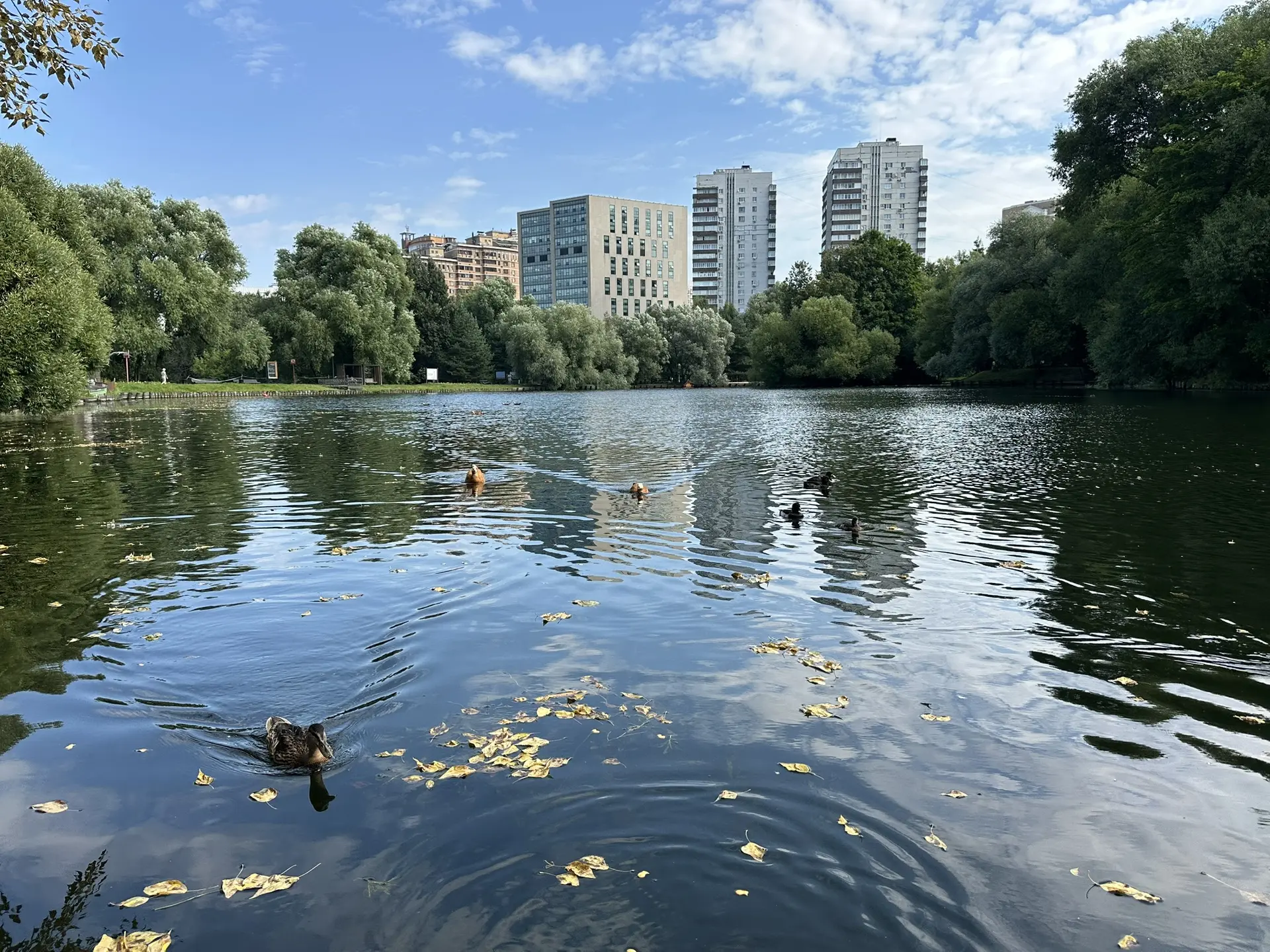 Тестировали Авито для своей школы/курсов? Сейчас самое время. Октябрь, ловите!