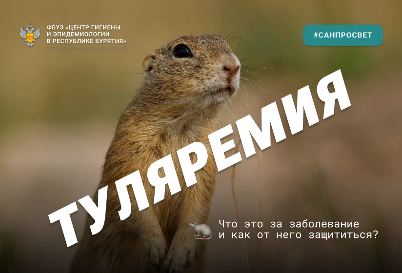 Туляремия: что это за заболевание и как от него защититься?