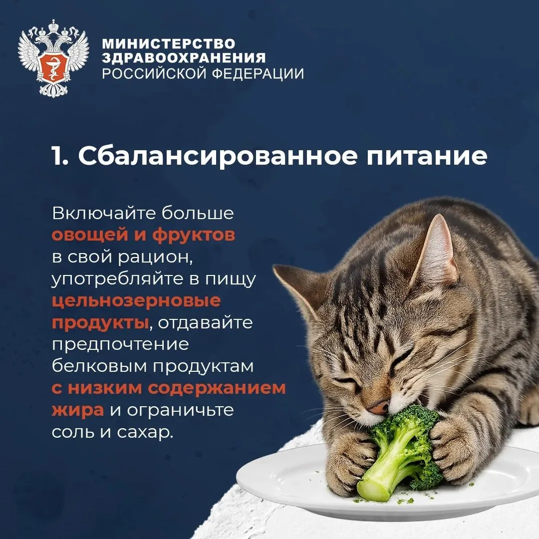 💪 #ПростыеПравила: Пять привычек, которые важно сформировать в молодости, чтобы сохран...