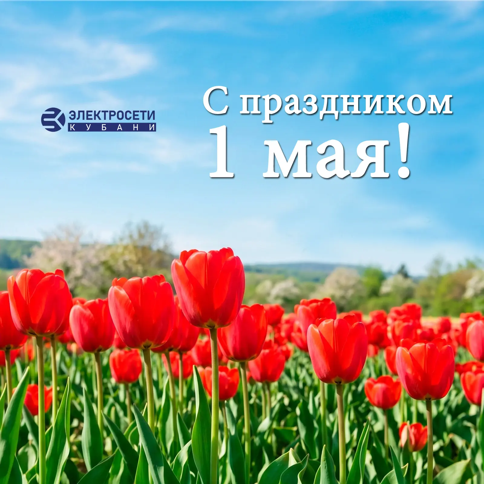 С праздником весны и труда!
 
Дорогие друзья!
Поздравляю вас с праздником Весны и труда!

Традиционн