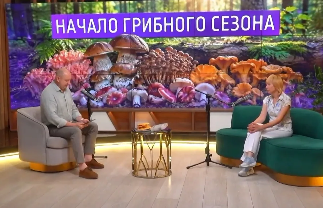 Лето началось, а начался ли грибной сезон? ✨

Традиционно он наступает осенью. Основная масса грибни