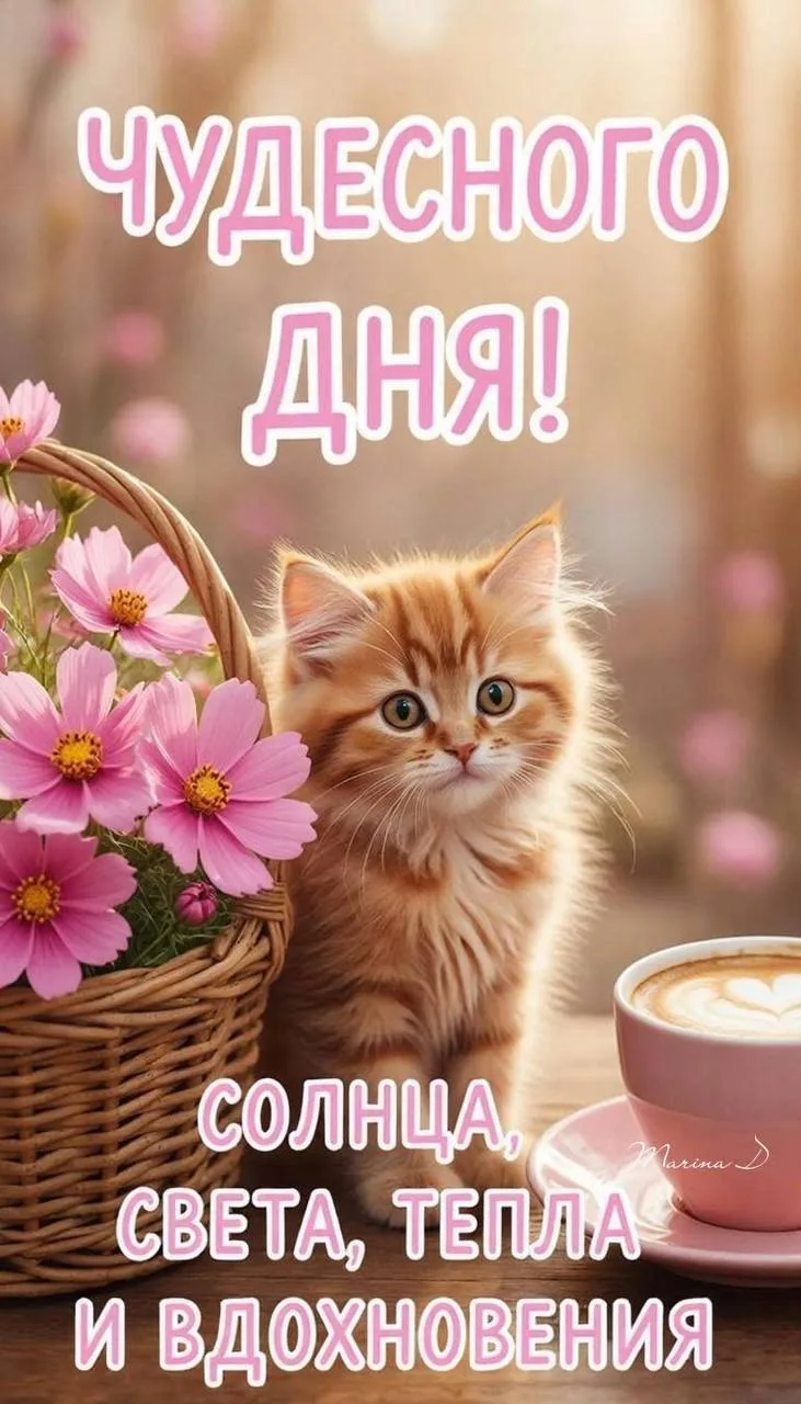 ОТКРЫТКИ