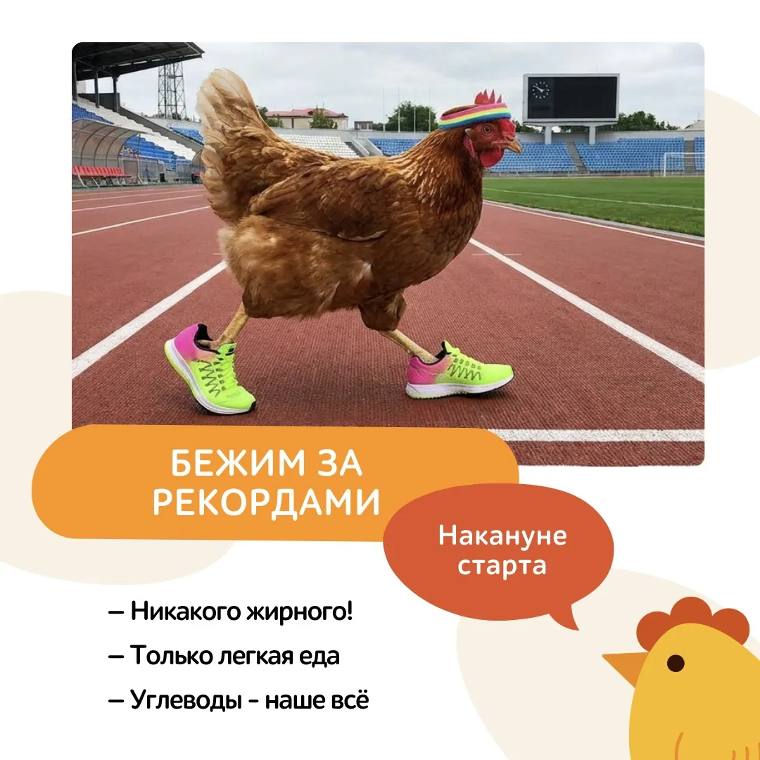 Чтобы забег прошёл легче, а финиш — вкуснее, мы подготовили для вас небольшую шпаргалку...