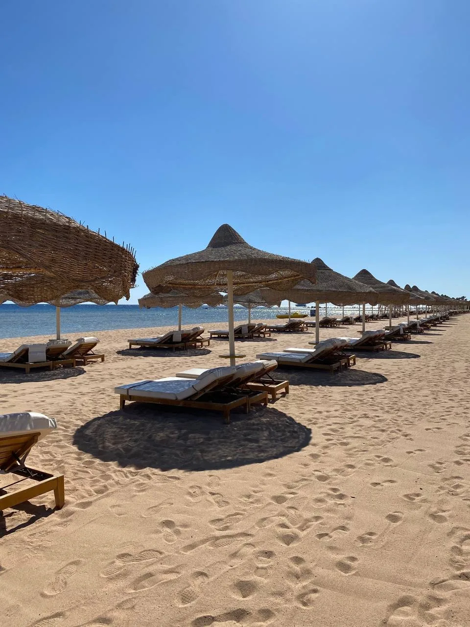Египет на 12 ночей🔥🔥🔥
🔥🔥🔥🔥
​
✈️ Казань, 22.05 на 9 ночей
🌴 Sharm Holiday 4*
🔥 75 441 RUB
​
