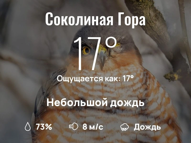 Что с погодой в районе Соколиной Горы?